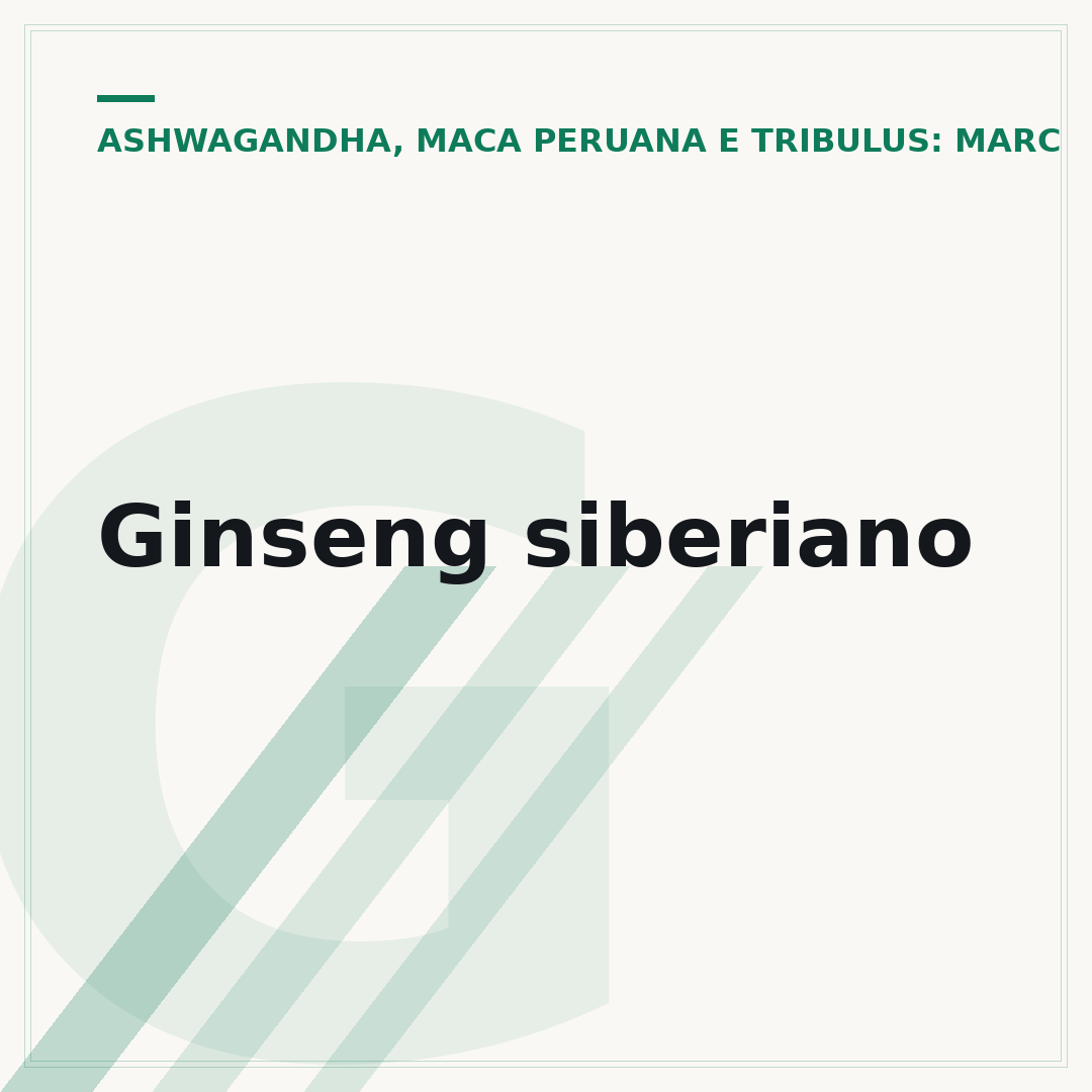 Ginseng siberiano