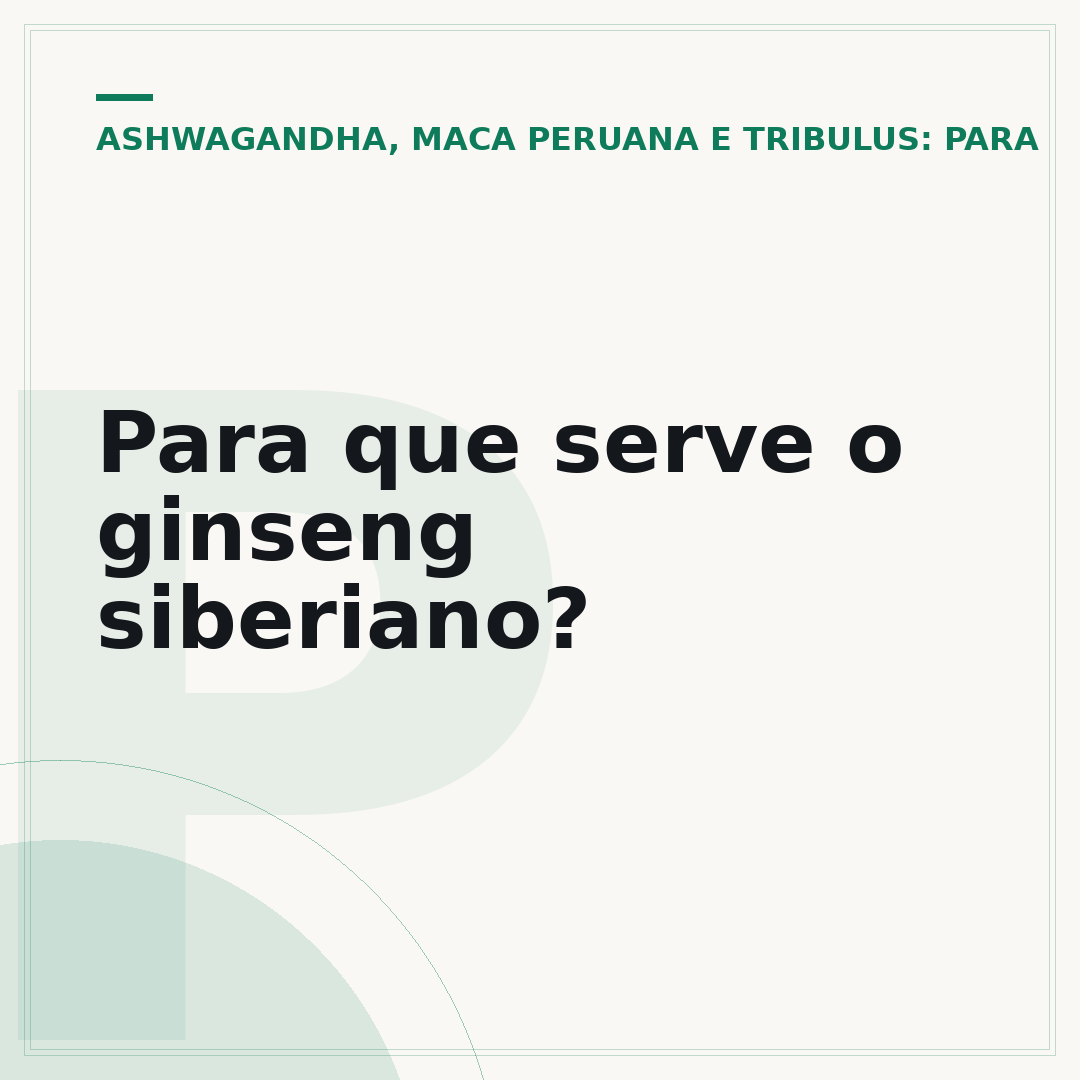 Para que serve o ginseng siberiano?