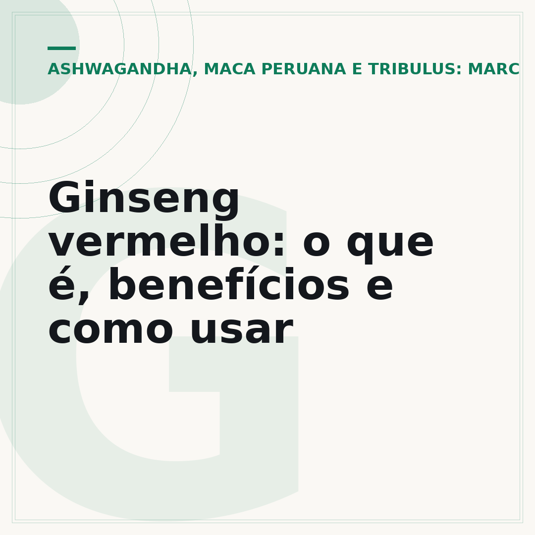 Ginseng vermelho: o que é, benefícios e como usar