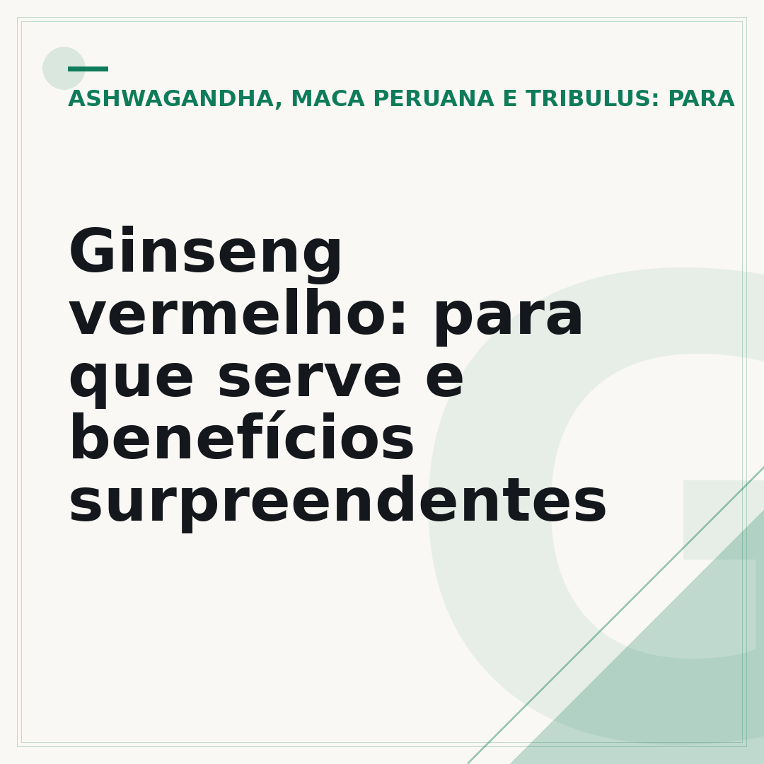 Ginseng vermelho: para que serve e benefícios surpreendentes
