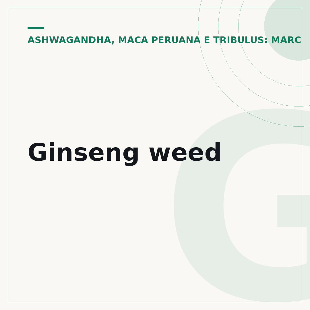 Ginseng weed