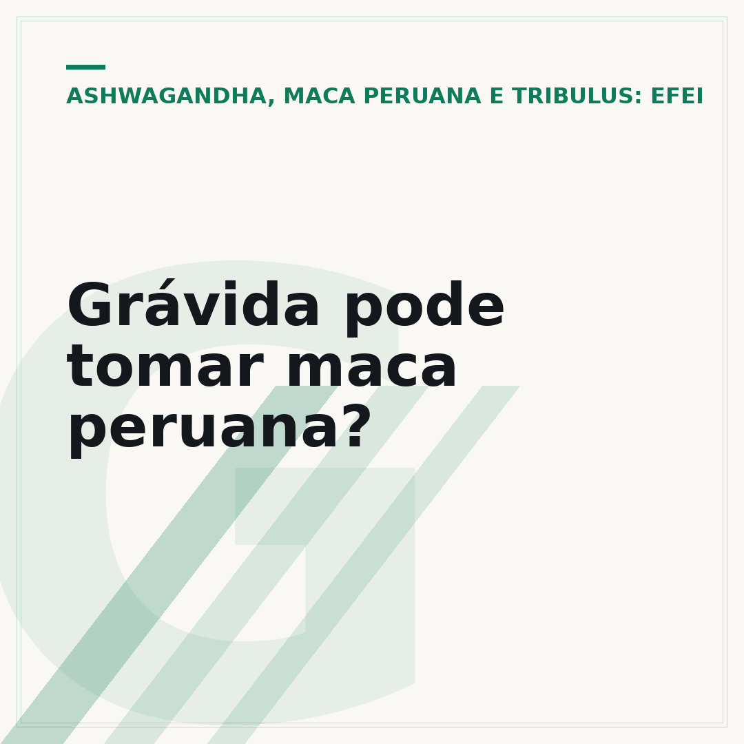 Grávida pode tomar maca peruana?