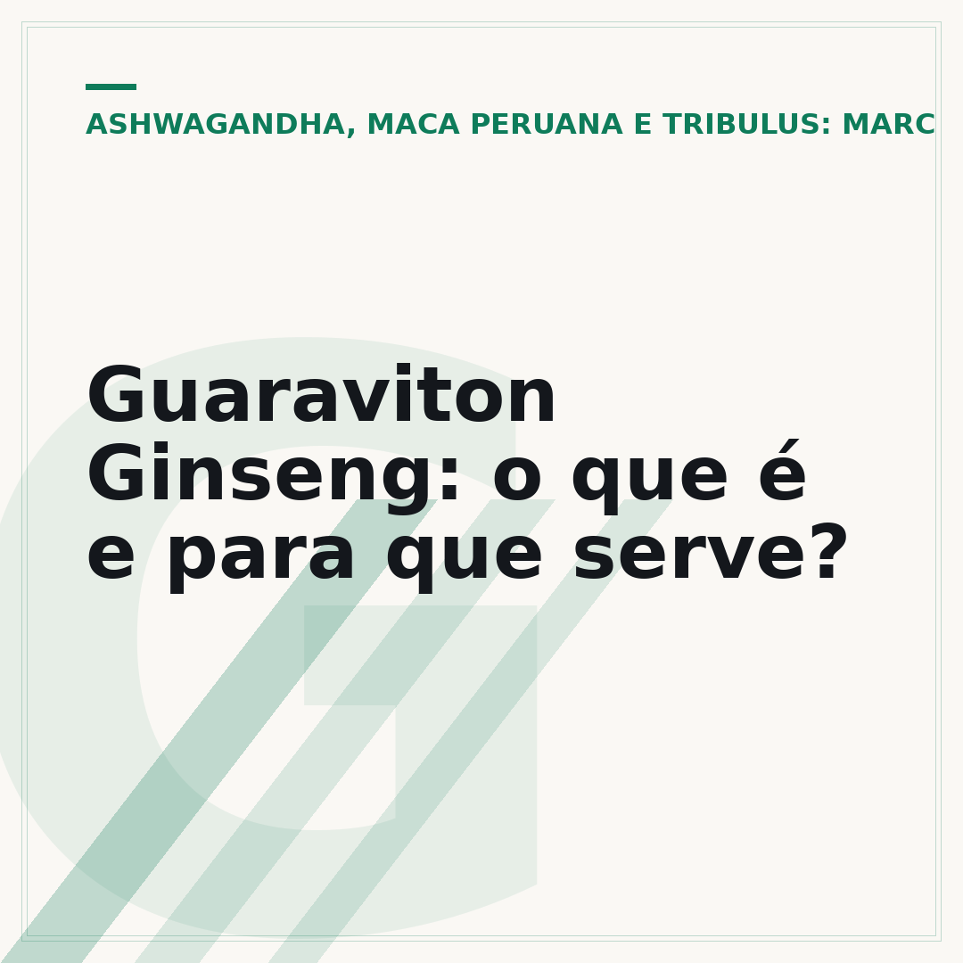 Guaraviton Ginseng: o que é e para que serve?
