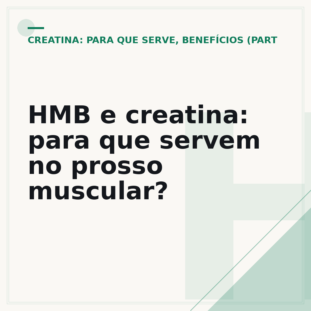 HMB e creatina: para que servem no prosso muscular?