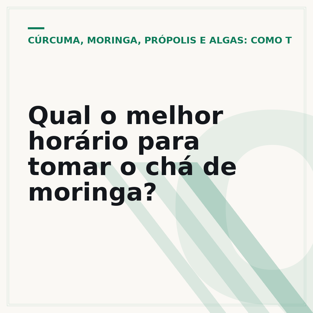 Qual o melhor horário para tomar o chá de moringa?