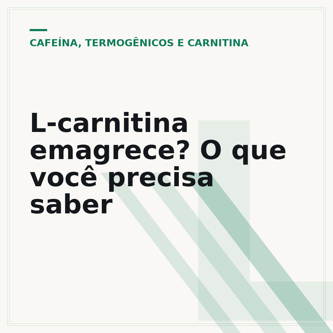 L-carnitina emagrece? O que você precisa saber