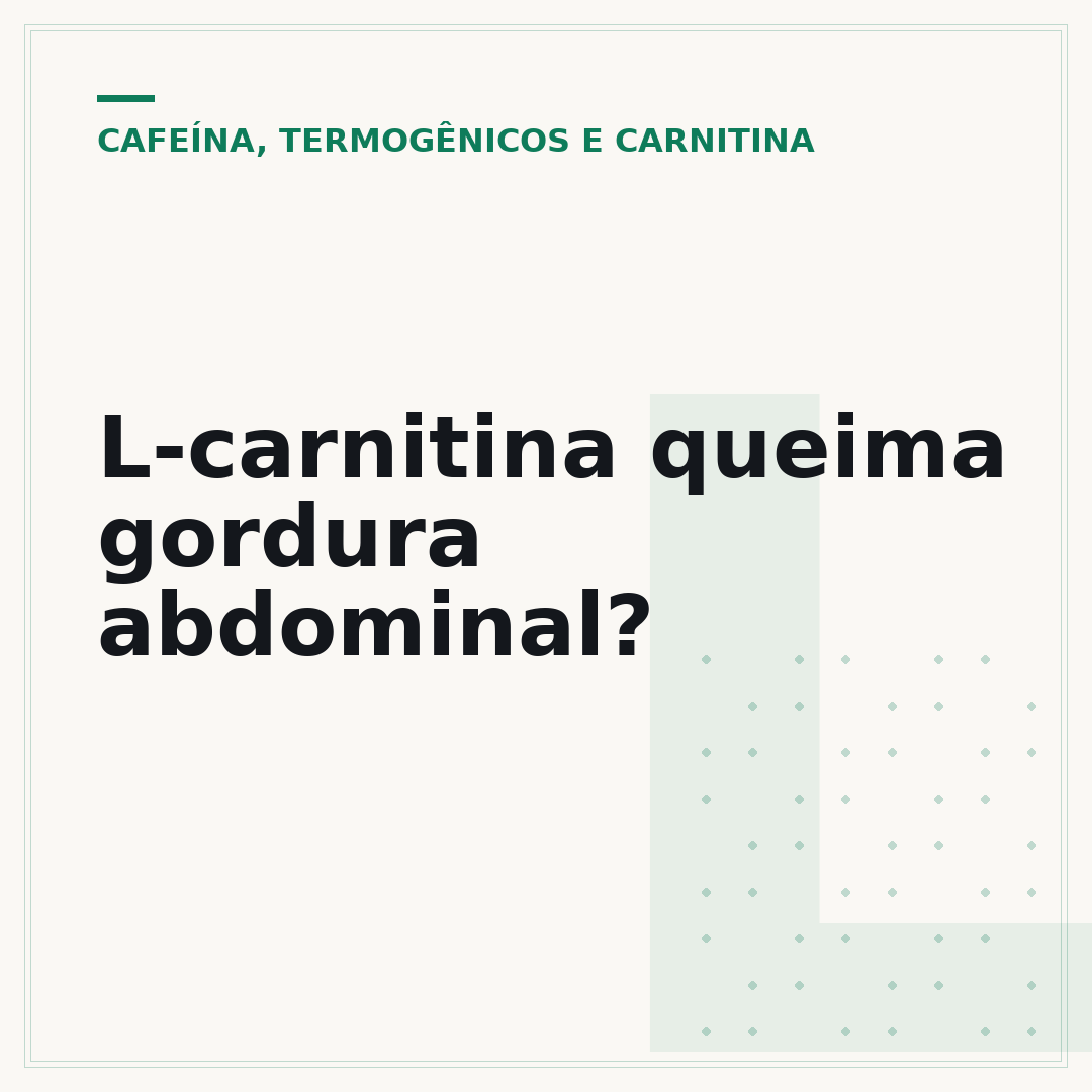 L-carnitina queima gordura abdominal?