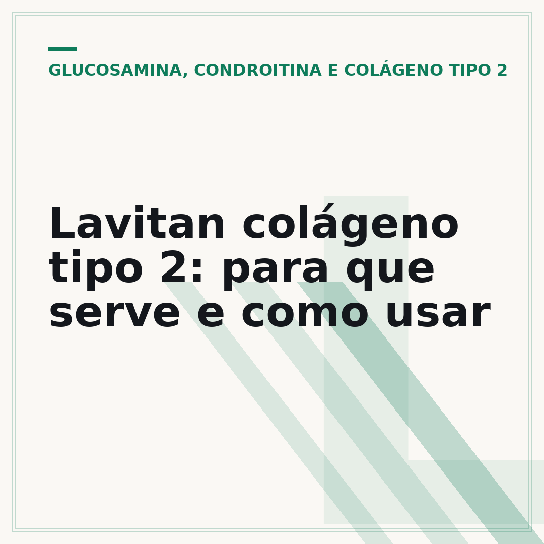 Lavitan colágeno tipo 2: para que serve e como usar