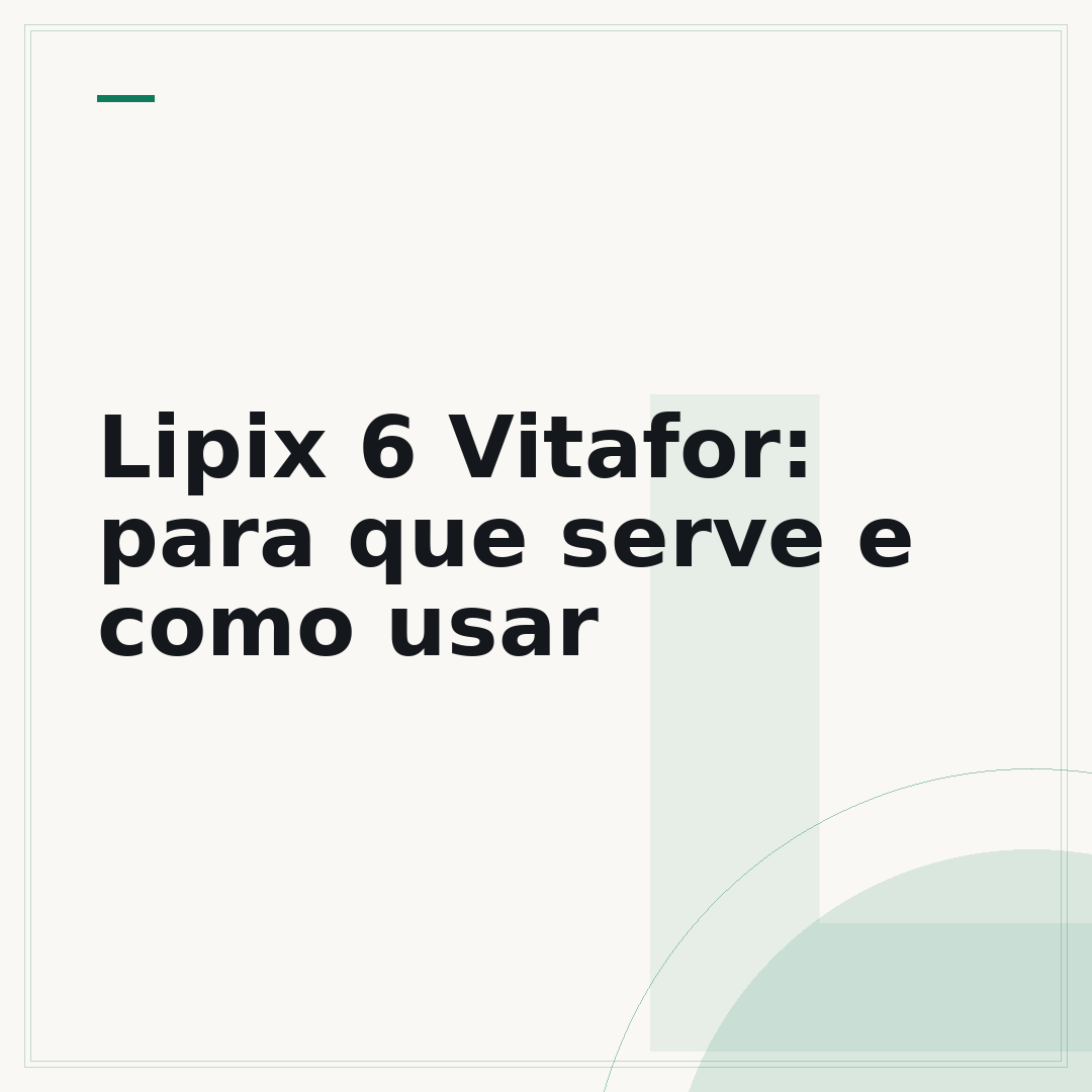 Lipix 6 Vitafor: para que serve e como usar