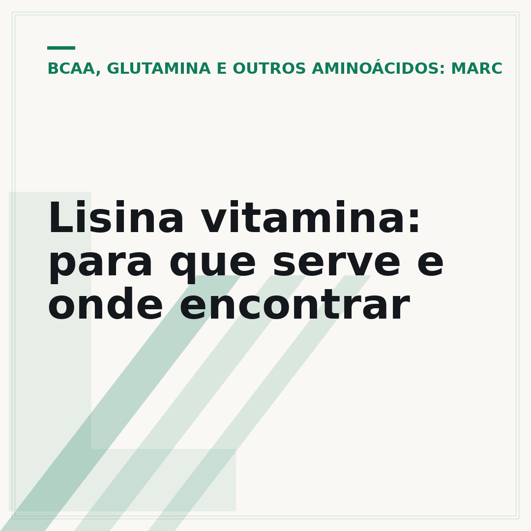 Lisina vitamina: para que serve e onde encontrar