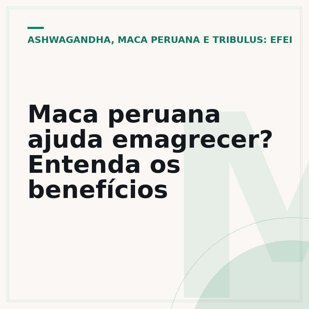 Maca peruana ajuda emagrecer? Entenda os benefícios
