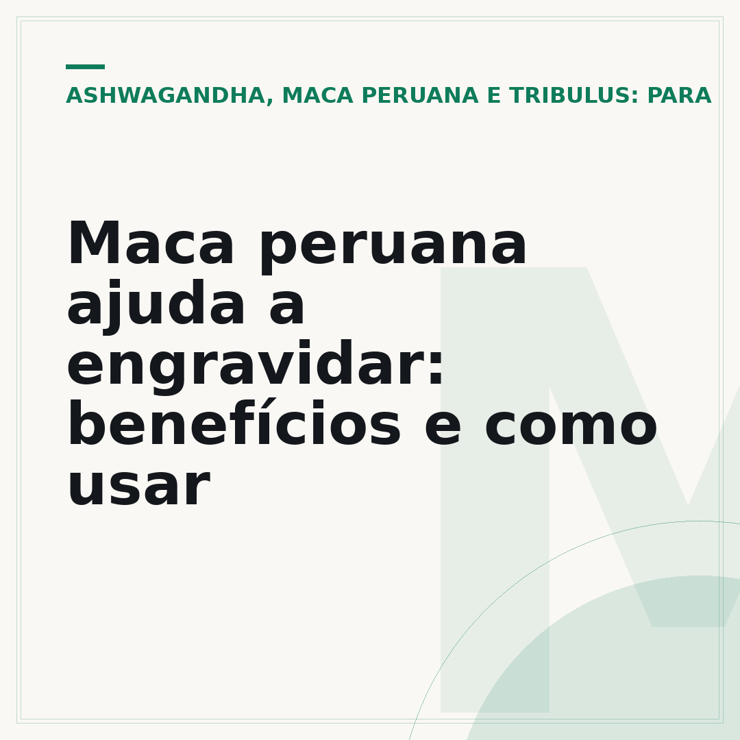 Maca peruana ajuda a engravidar: benefícios e como usar