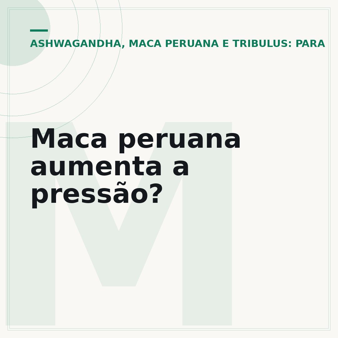 Maca peruana aumenta a pressão?