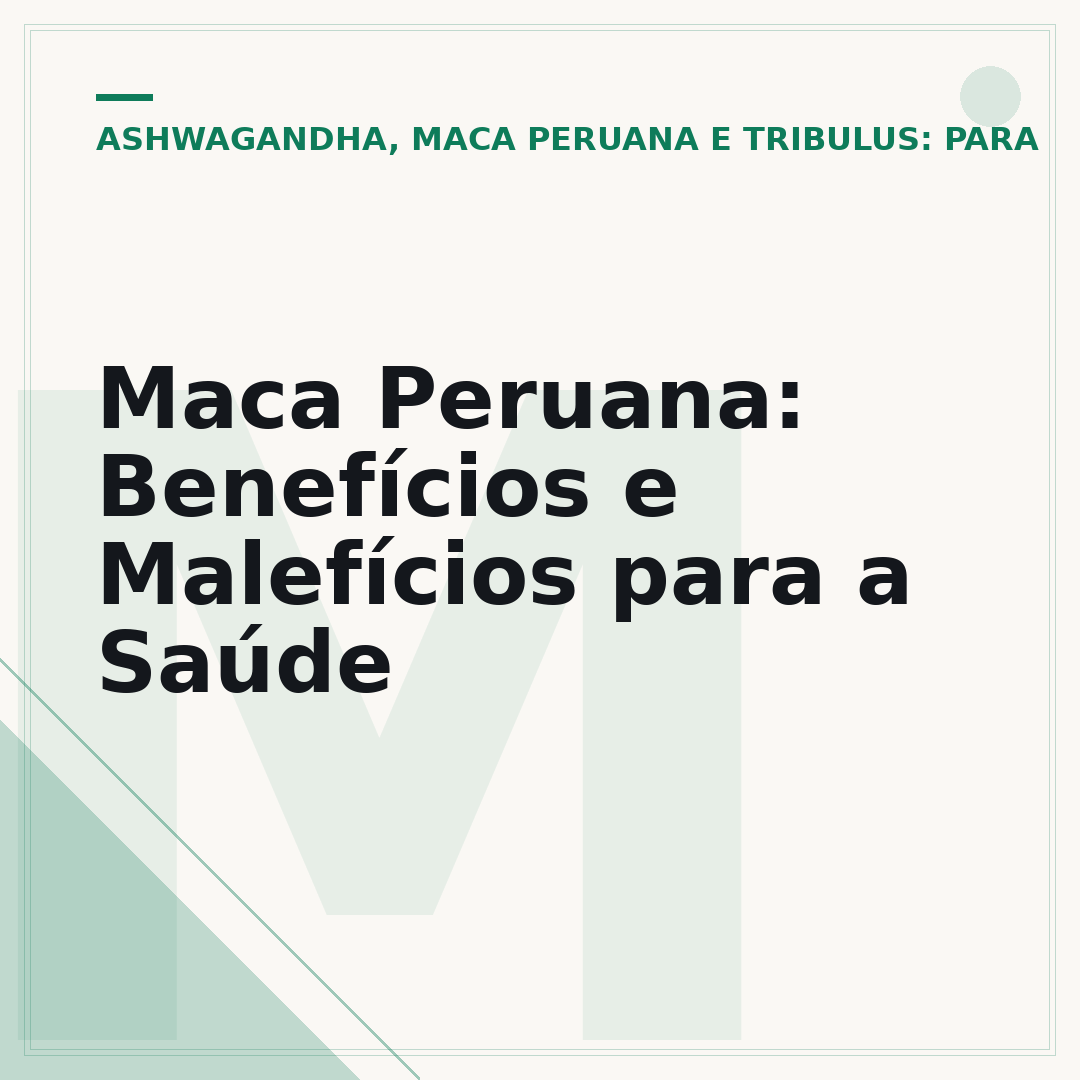 Maca Peruana: Benefícios e Malefícios para a Saúde