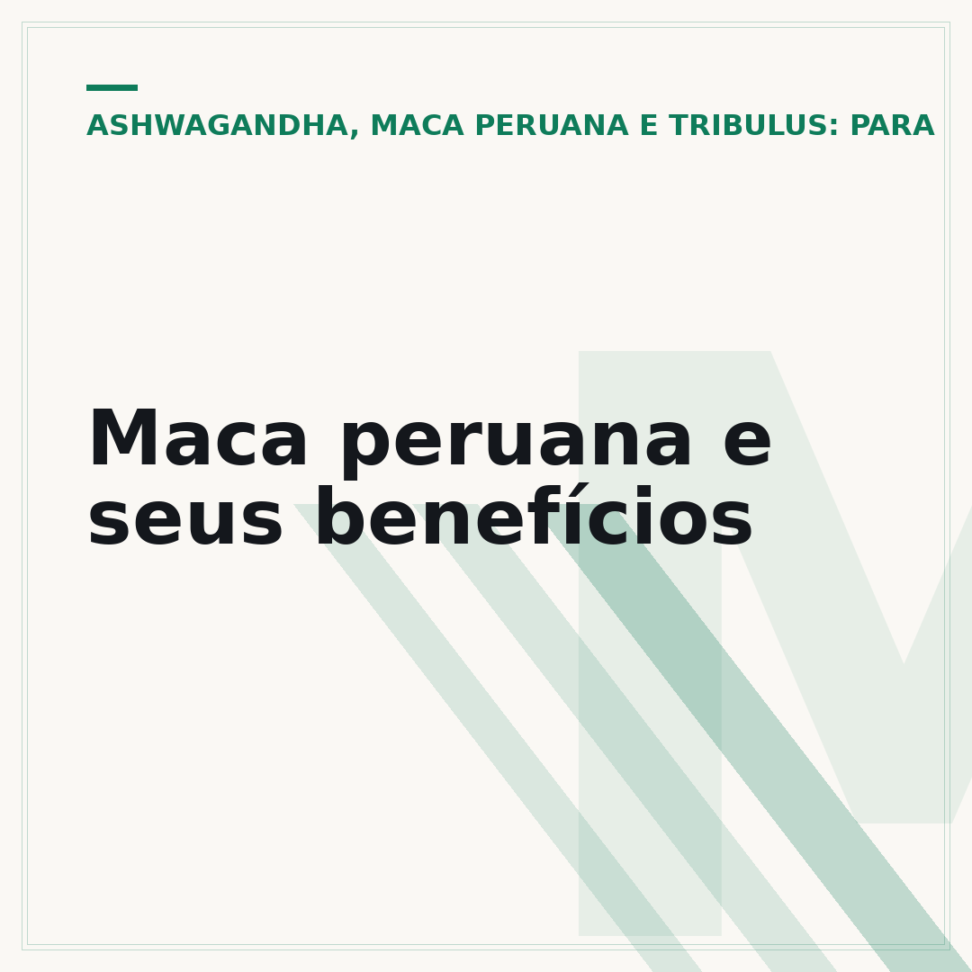 Maca peruana e seus benefícios
