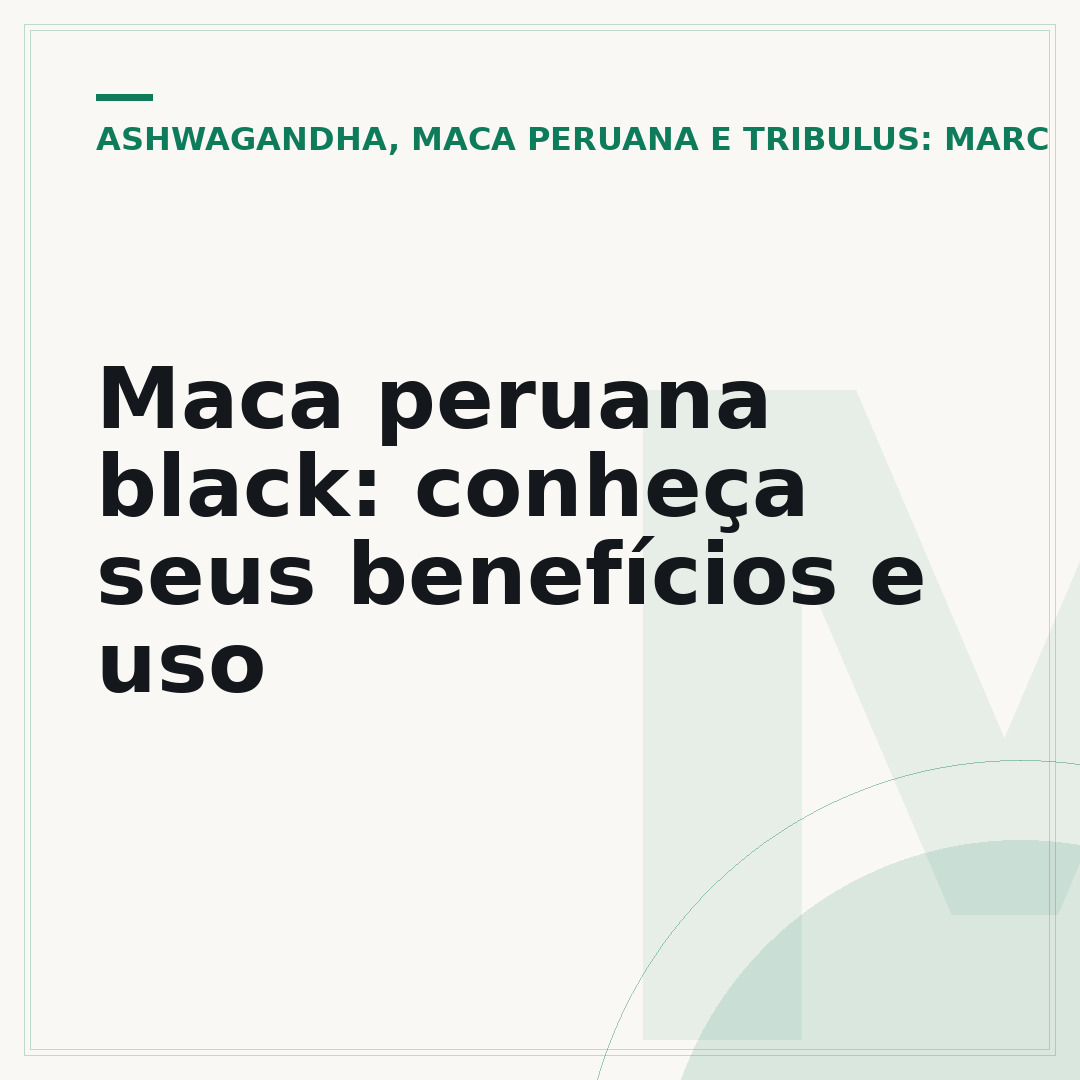 Maca peruana black: conheça seus benefícios e uso