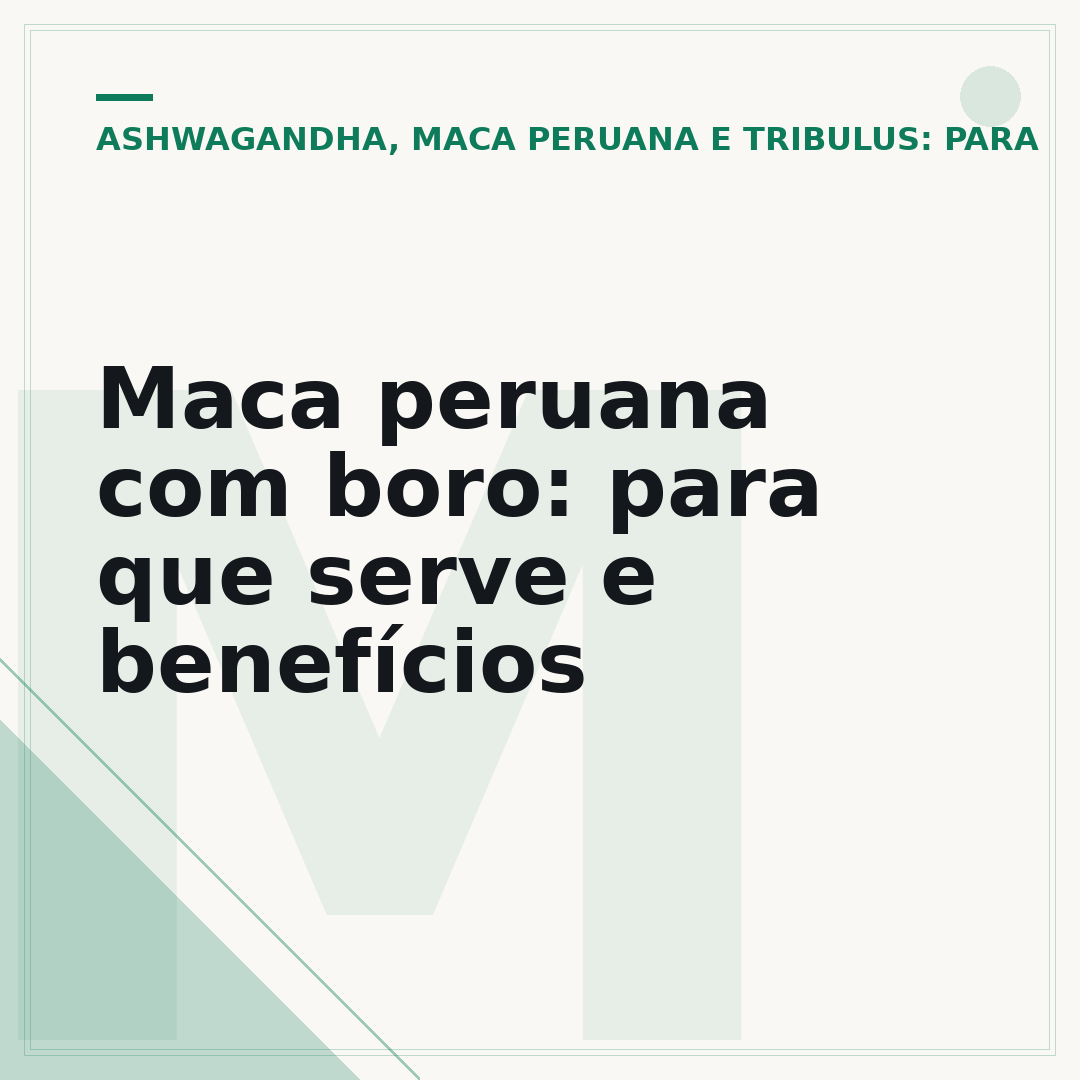 Maca peruana com boro: para que serve e benefícios