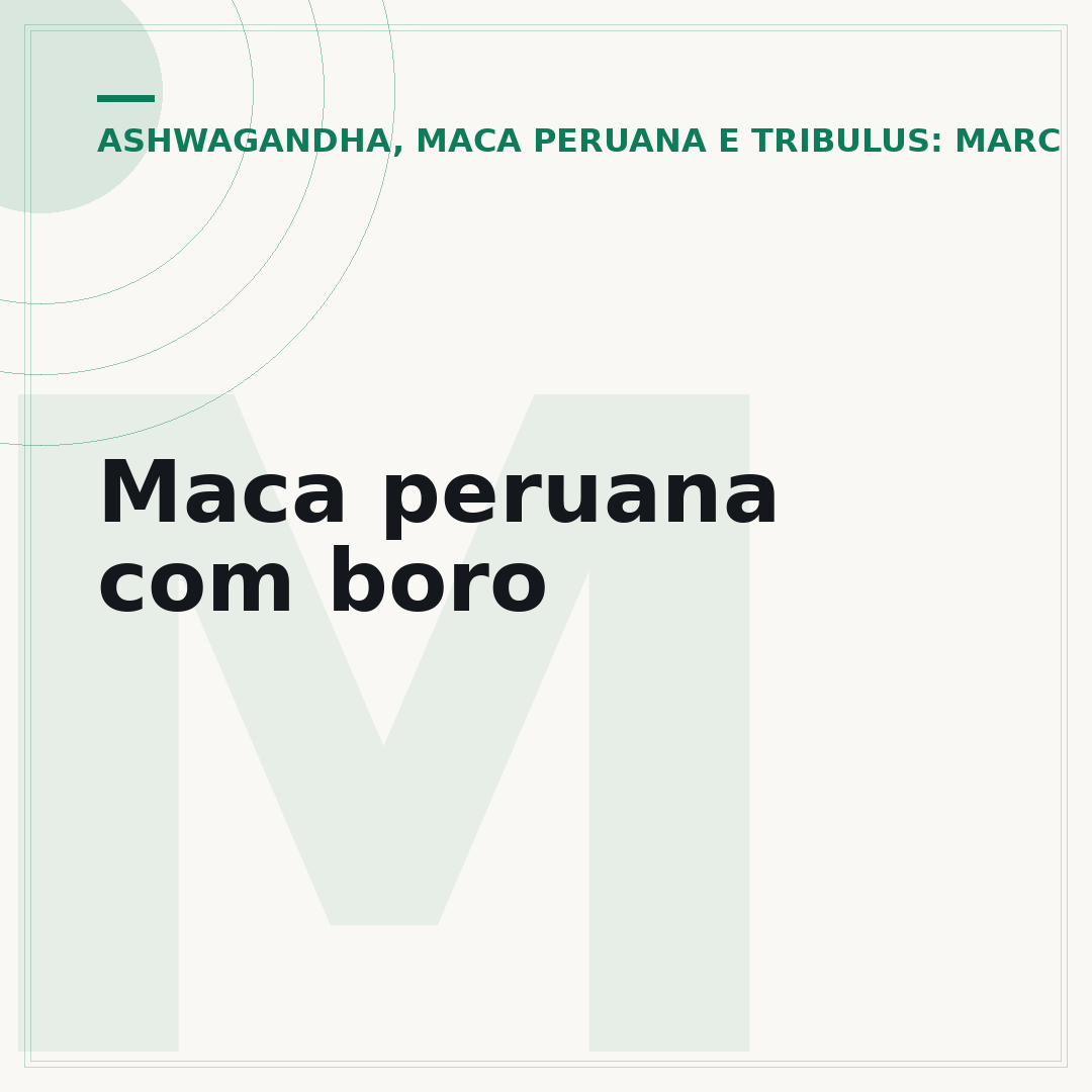 Maca peruana com boro