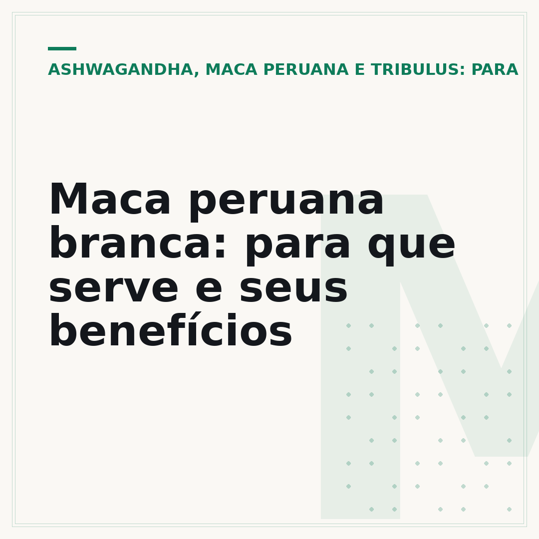 Maca peruana branca: para que serve e seus benefícios