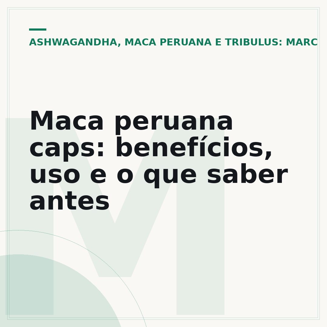 Maca peruana caps: benefícios, uso e o que saber antes