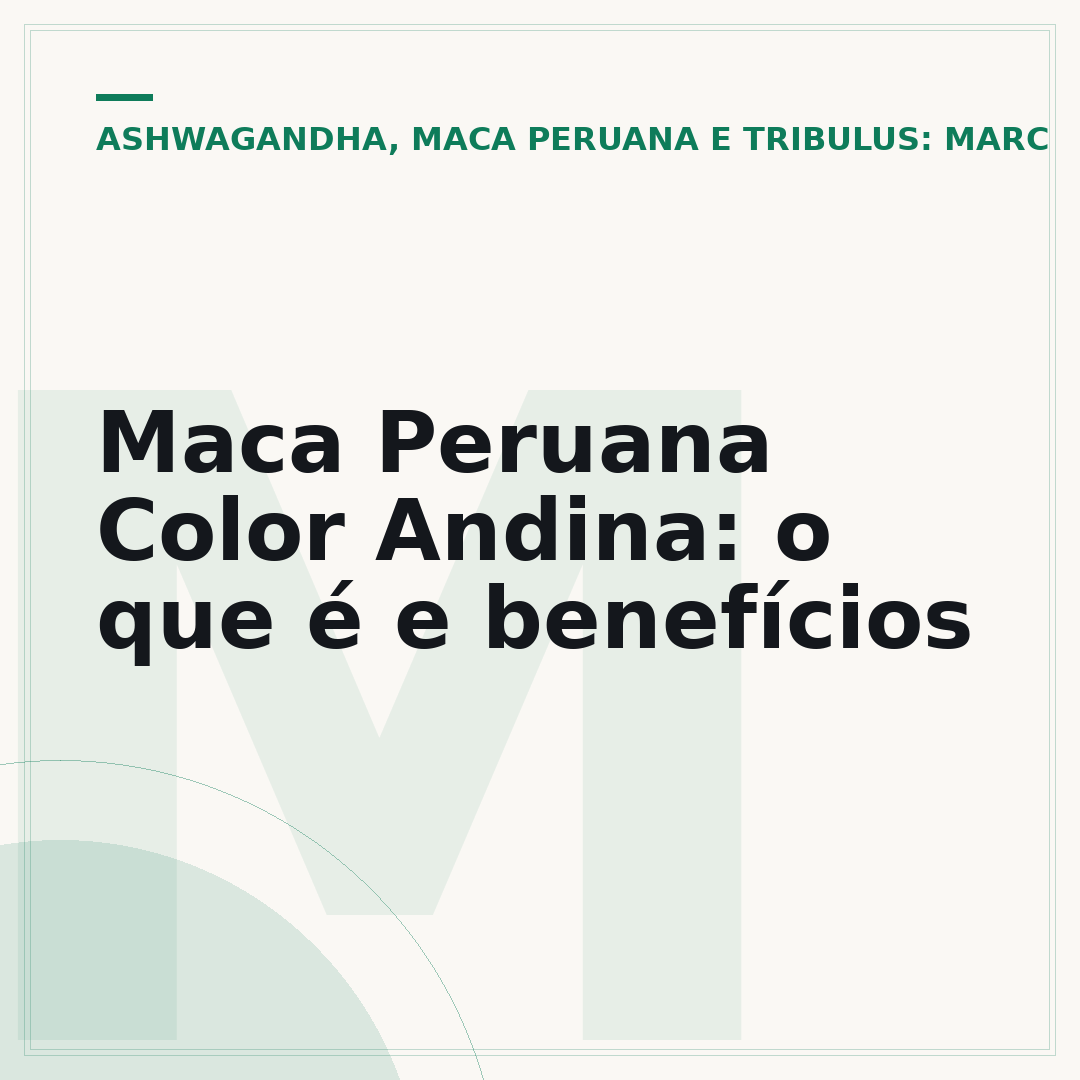Maca Peruana Color Andina: o que é e benefícios
