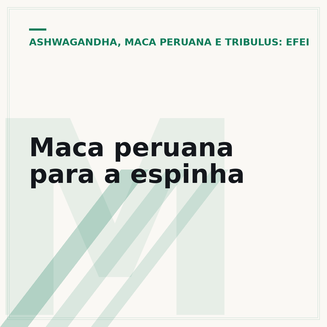 Maca peruana para a espinha