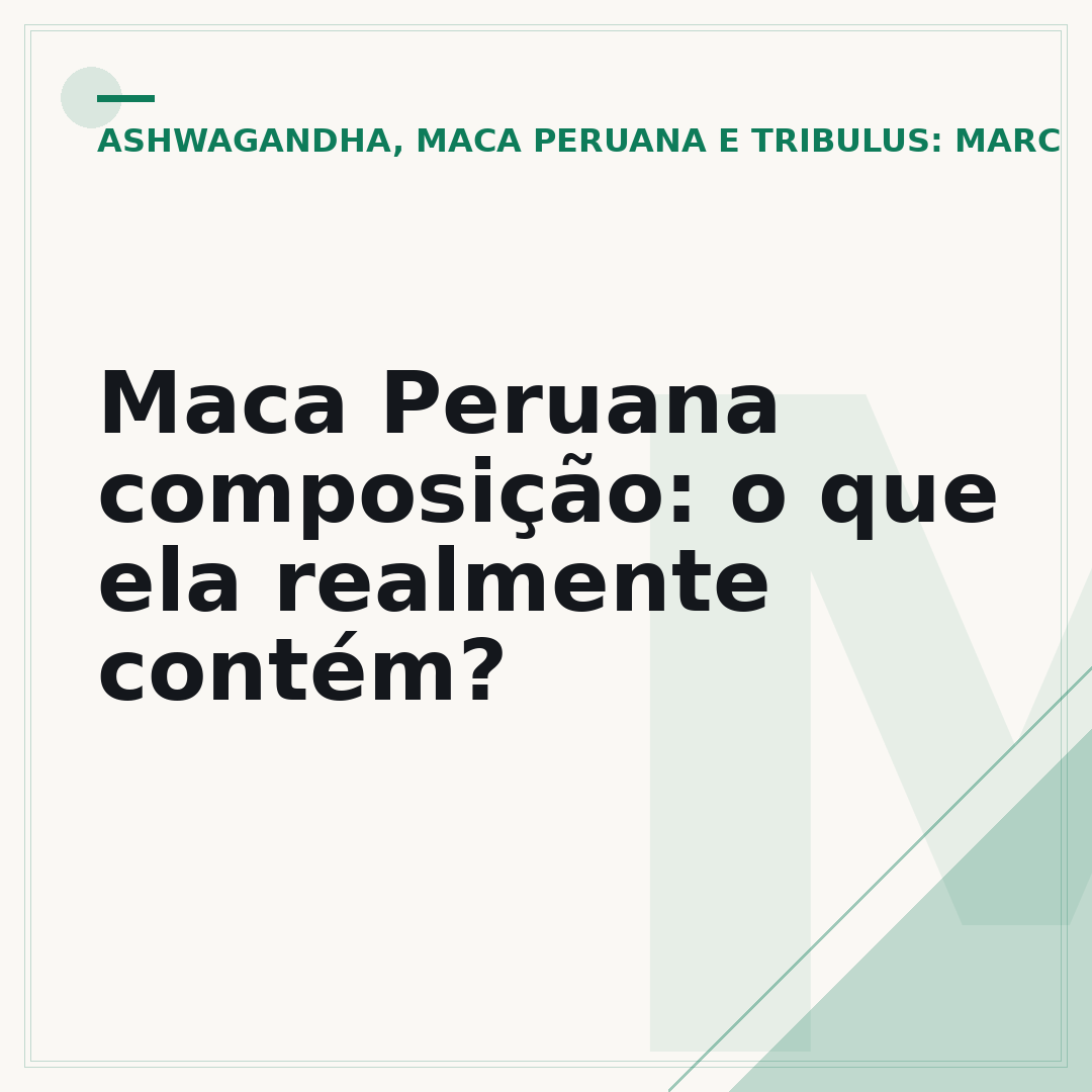 Maca Peruana composição: o que ela realmente contém?
