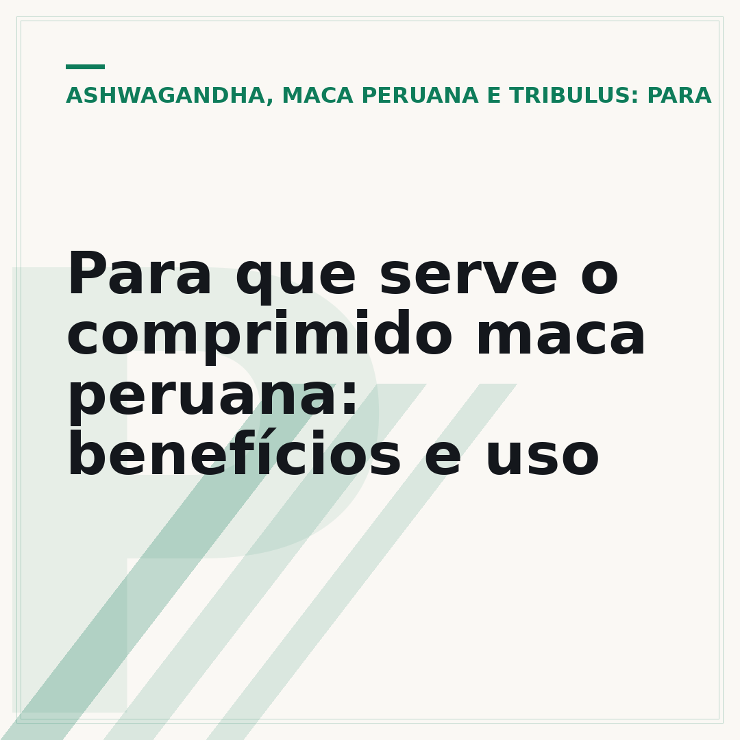 Para que serve o comprimido maca peruana: benefícios e uso
