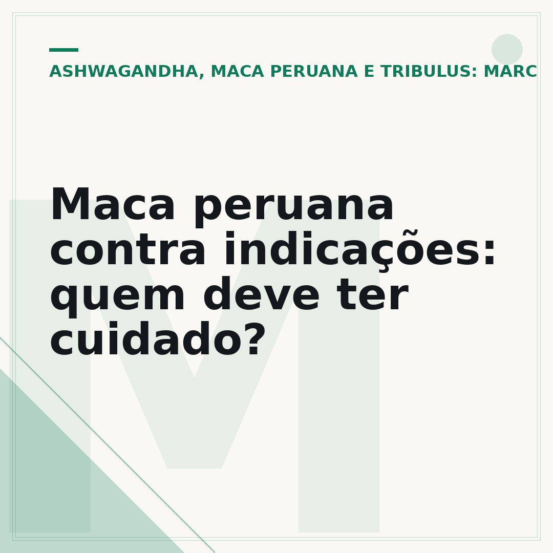 Maca peruana contra indicações: quem deve ter cuidado?