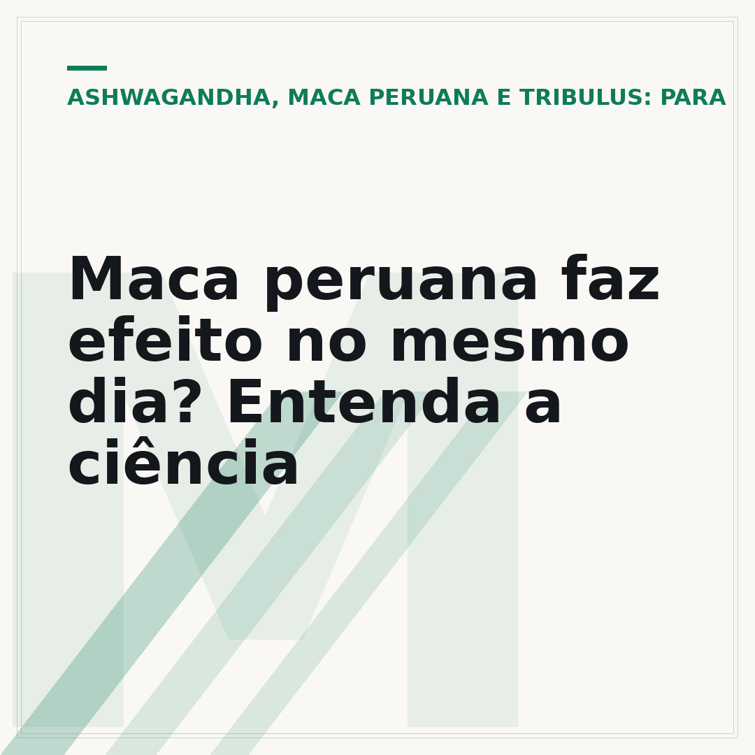 Maca peruana faz efeito no mesmo dia? Entenda a ciência