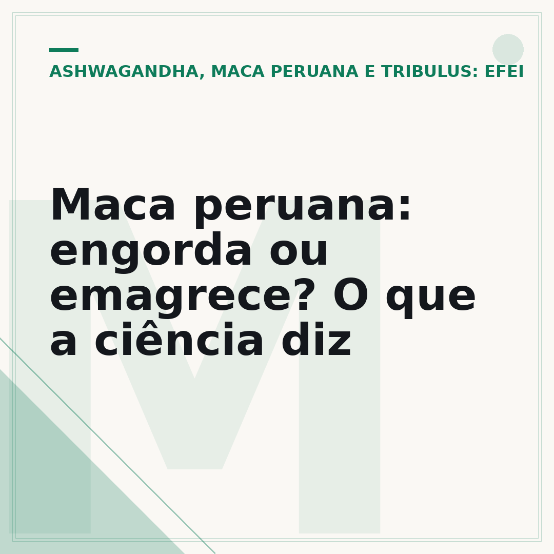 Maca peruana: engorda ou emagrece? O que a ciência diz