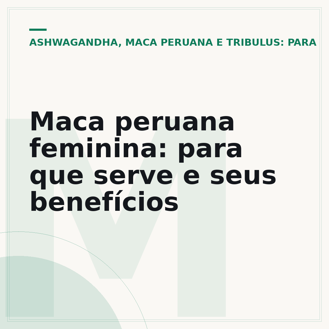 Maca peruana feminina: para que serve e seus benefícios