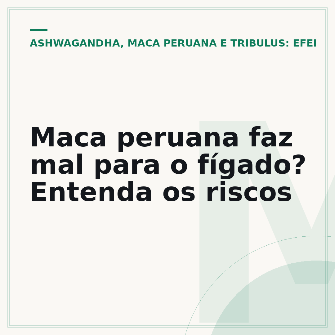 Maca peruana faz mal para o fígado? Entenda os riscos