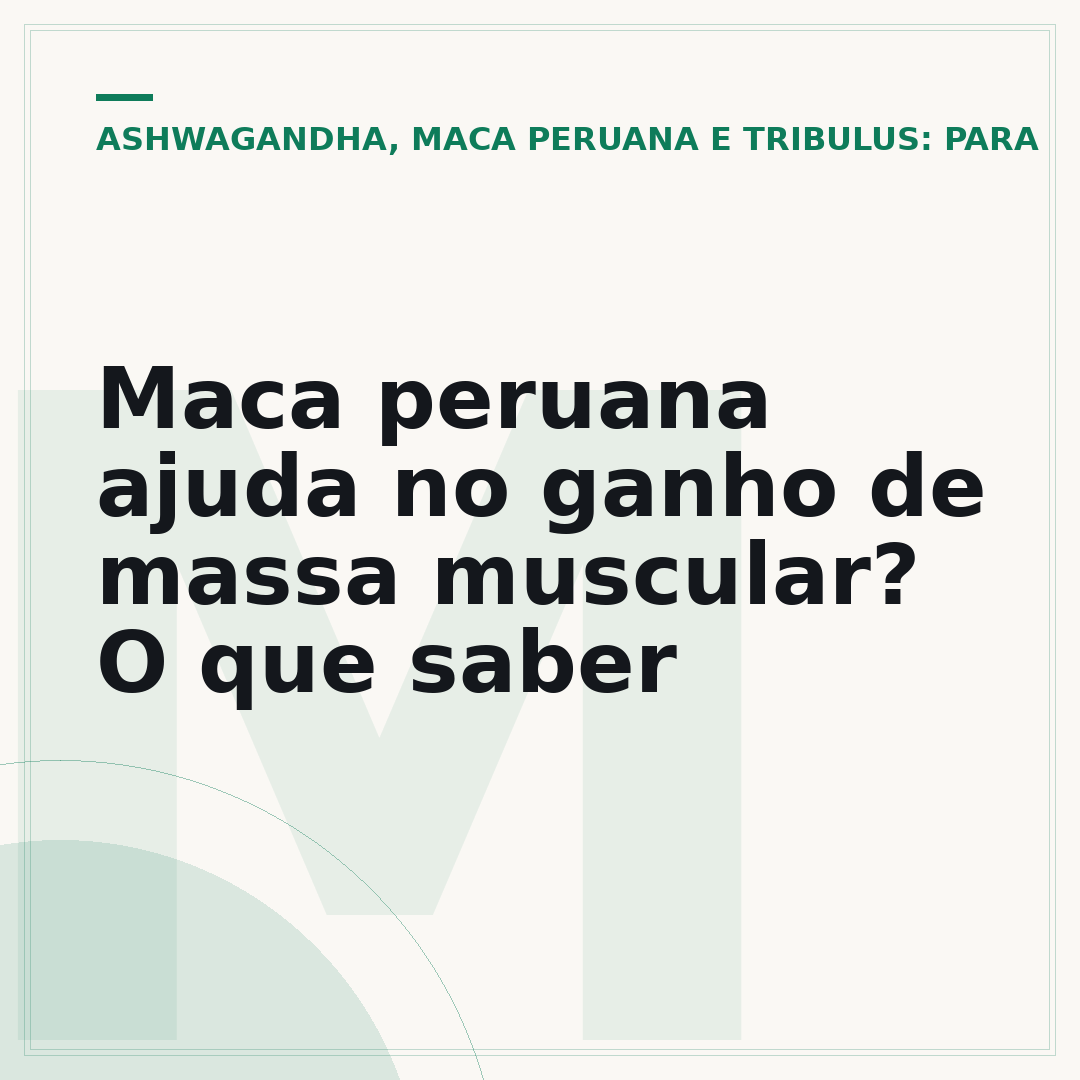 Maca peruana ajuda no ganho de massa muscular? O que saber