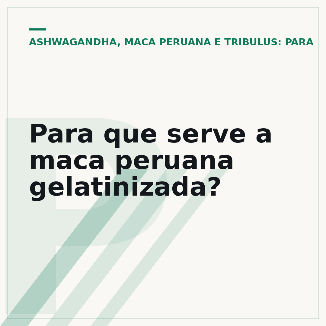 Para que serve a maca peruana gelatinizada?
