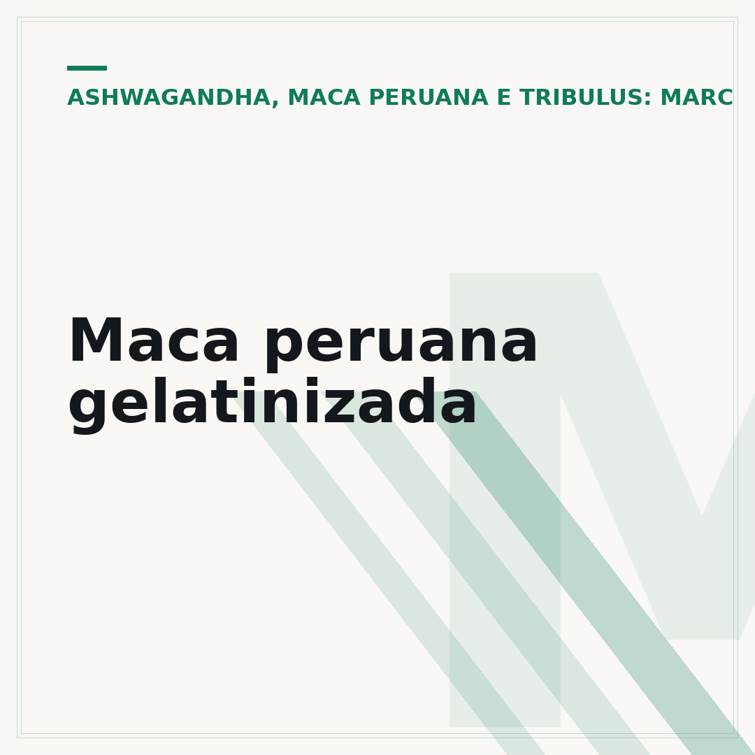 Maca peruana gelatinizada