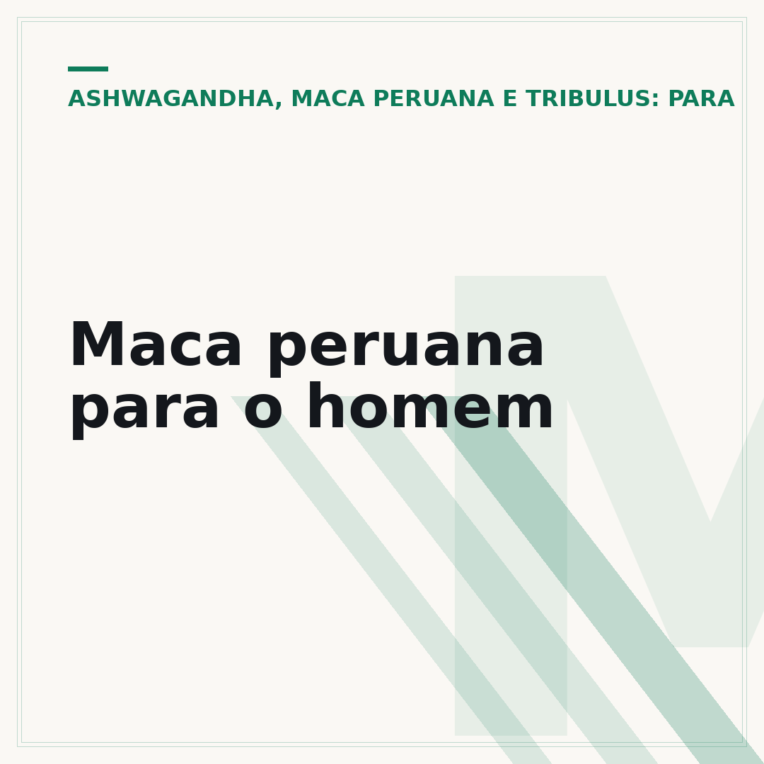 Maca peruana para o homem