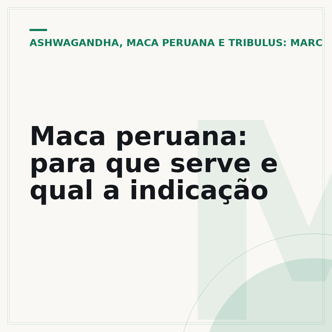 Maca peruana: para que serve e qual a indicação