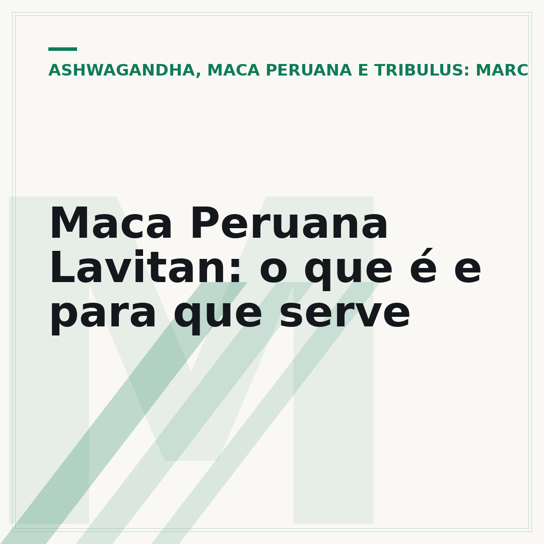 Maca Peruana Lavitan: o que é e para que serve