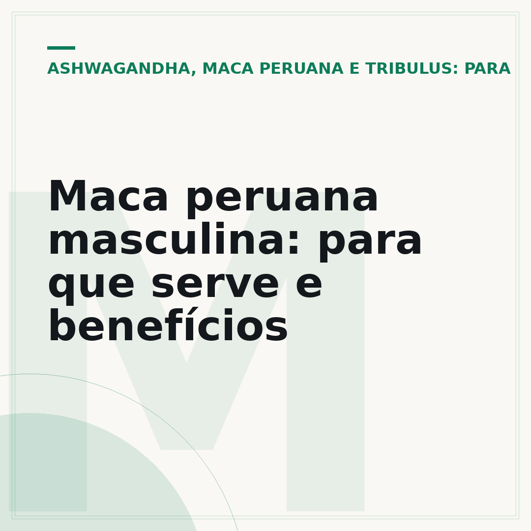 Maca peruana masculina: para que serve e benefícios