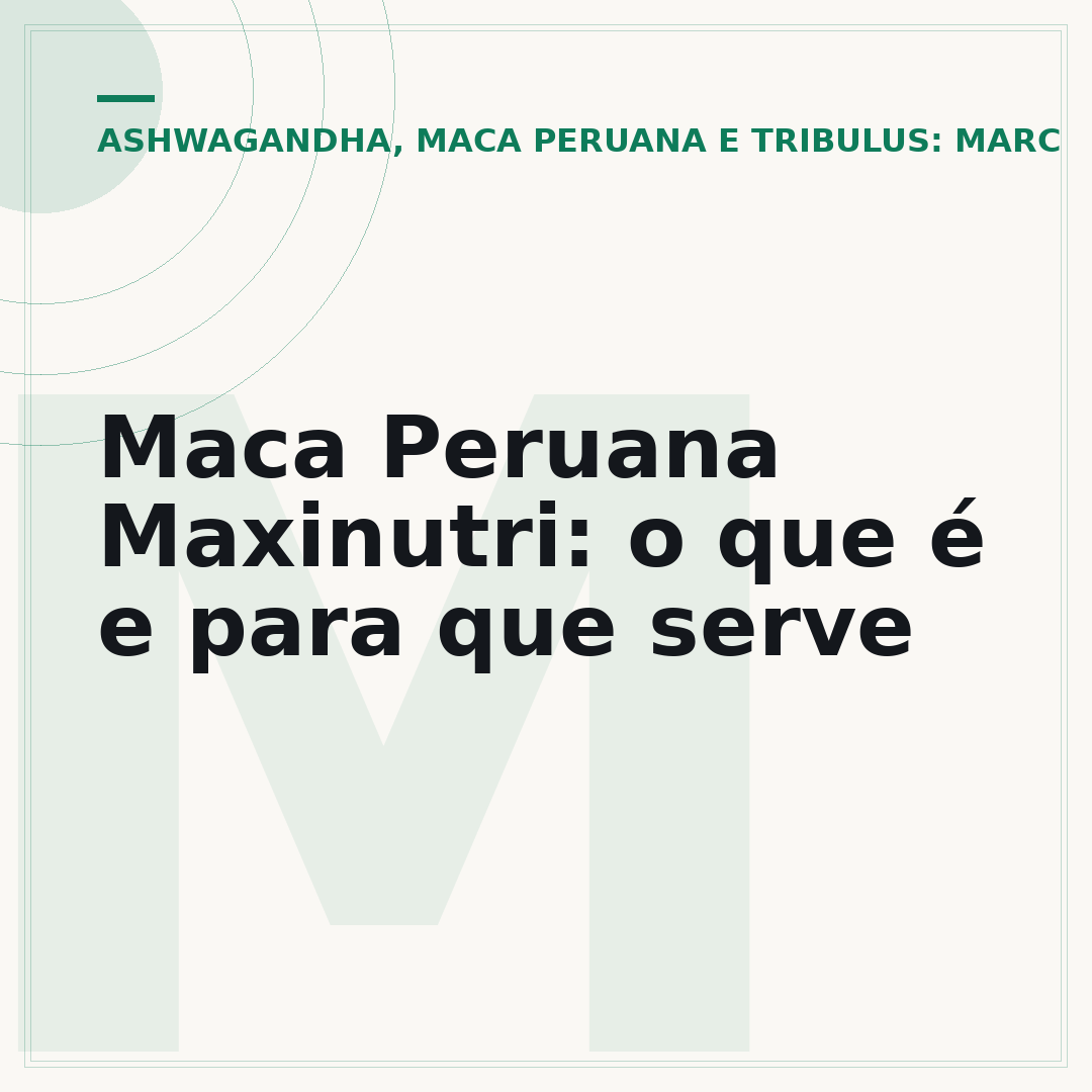 Maca Peruana Maxinutri: o que é e para que serve