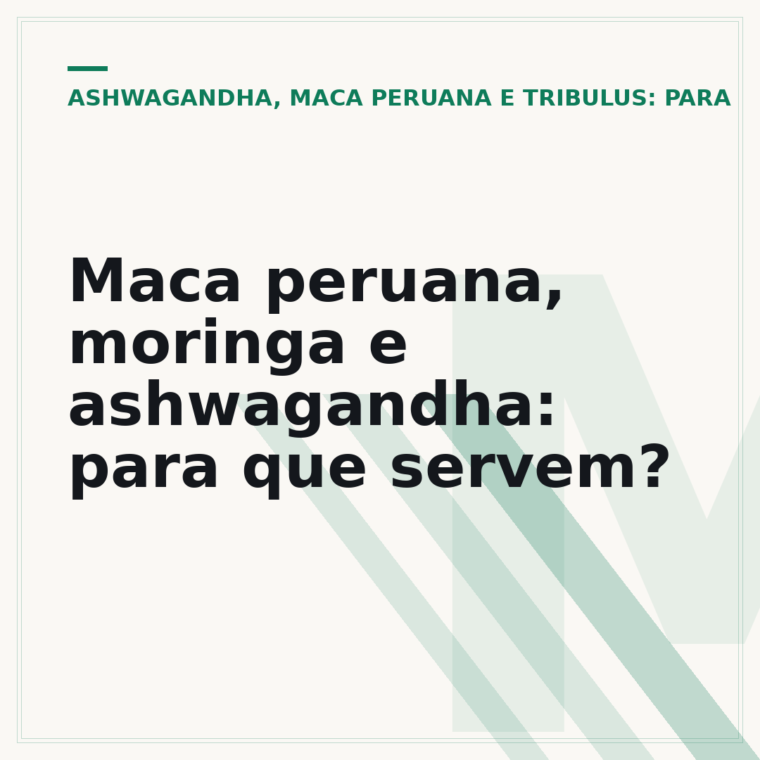 Maca peruana, moringa e ashwagandha: para que servem?
