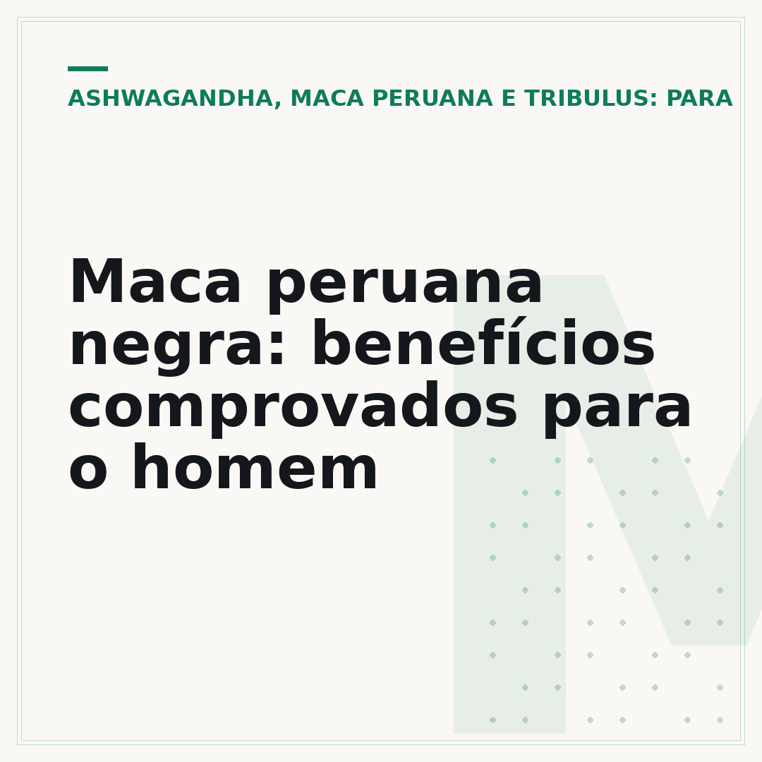 Maca peruana negra: benefícios comprovados para o homem