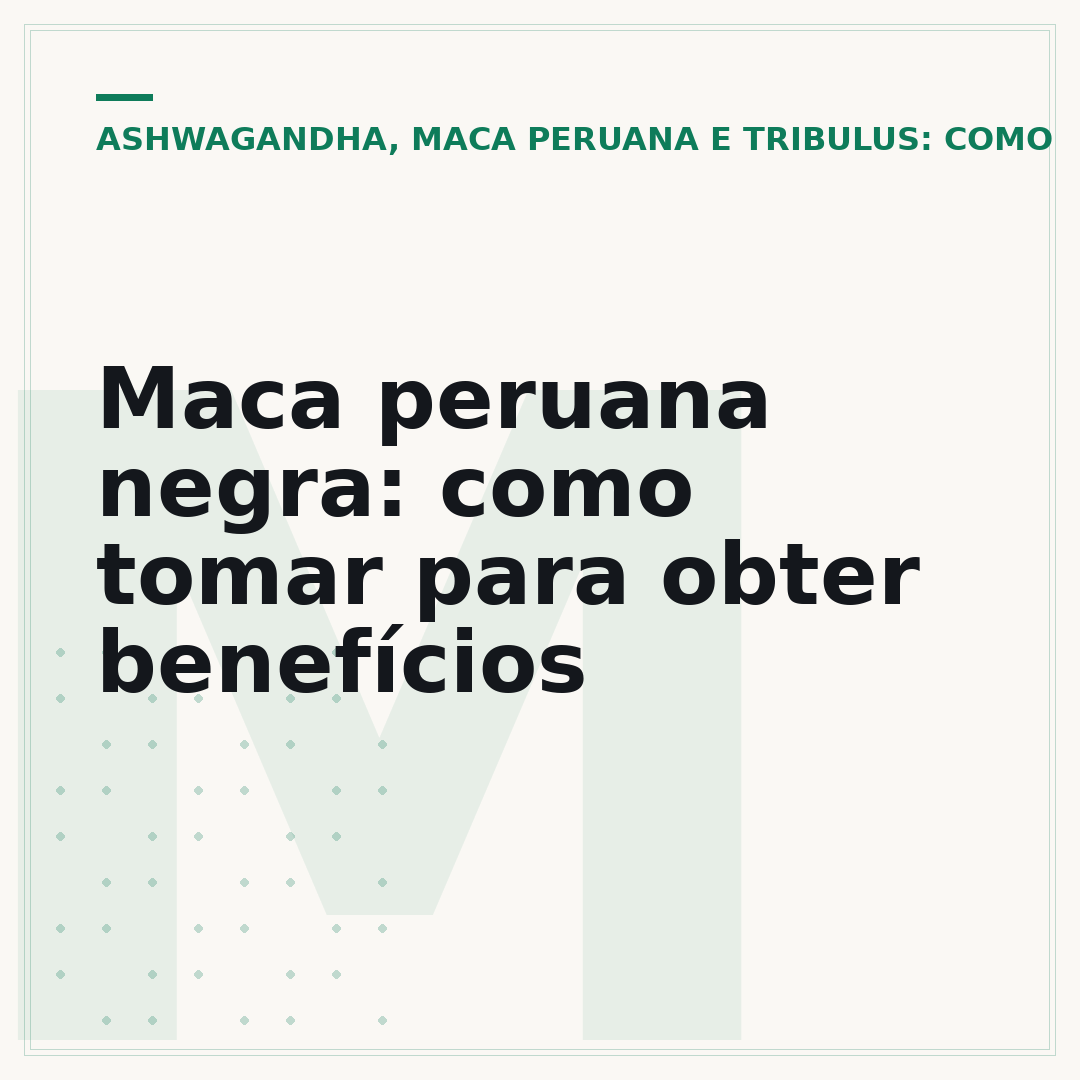 Maca peruana negra: como tomar para obter benefícios
