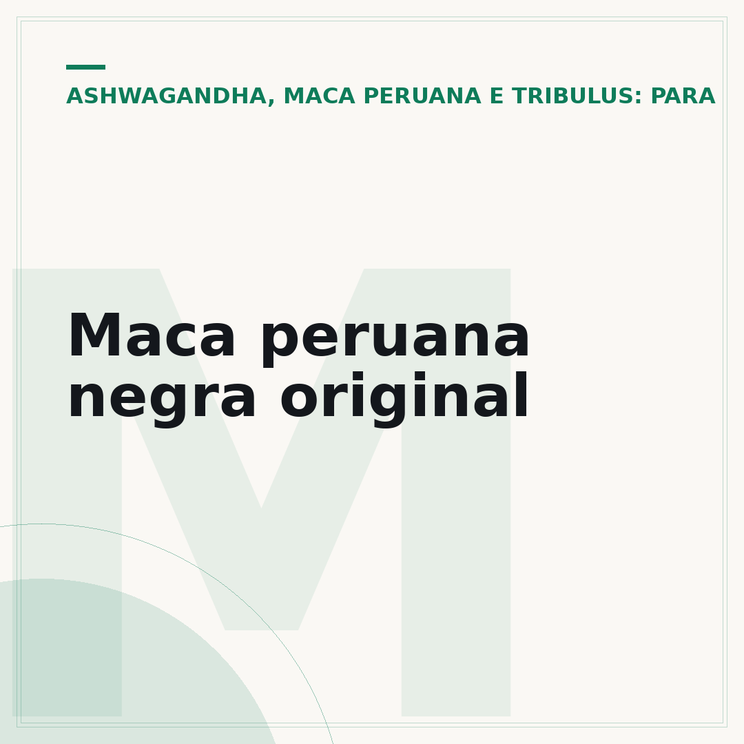 Maca peruana negra original