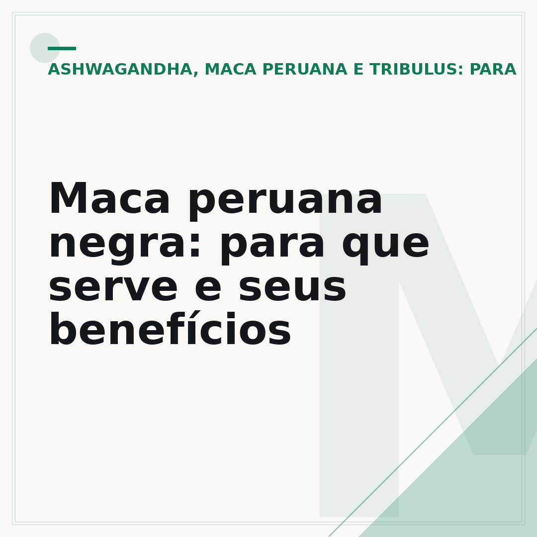 Maca peruana negra: para que serve e seus benefícios