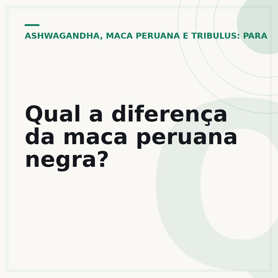 Qual a diferença da maca peruana negra?