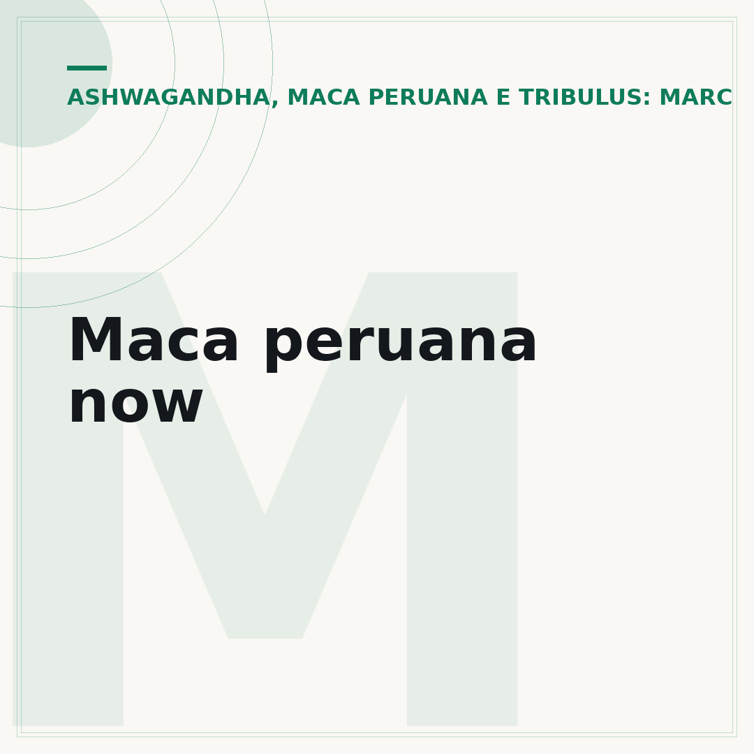 Maca peruana now