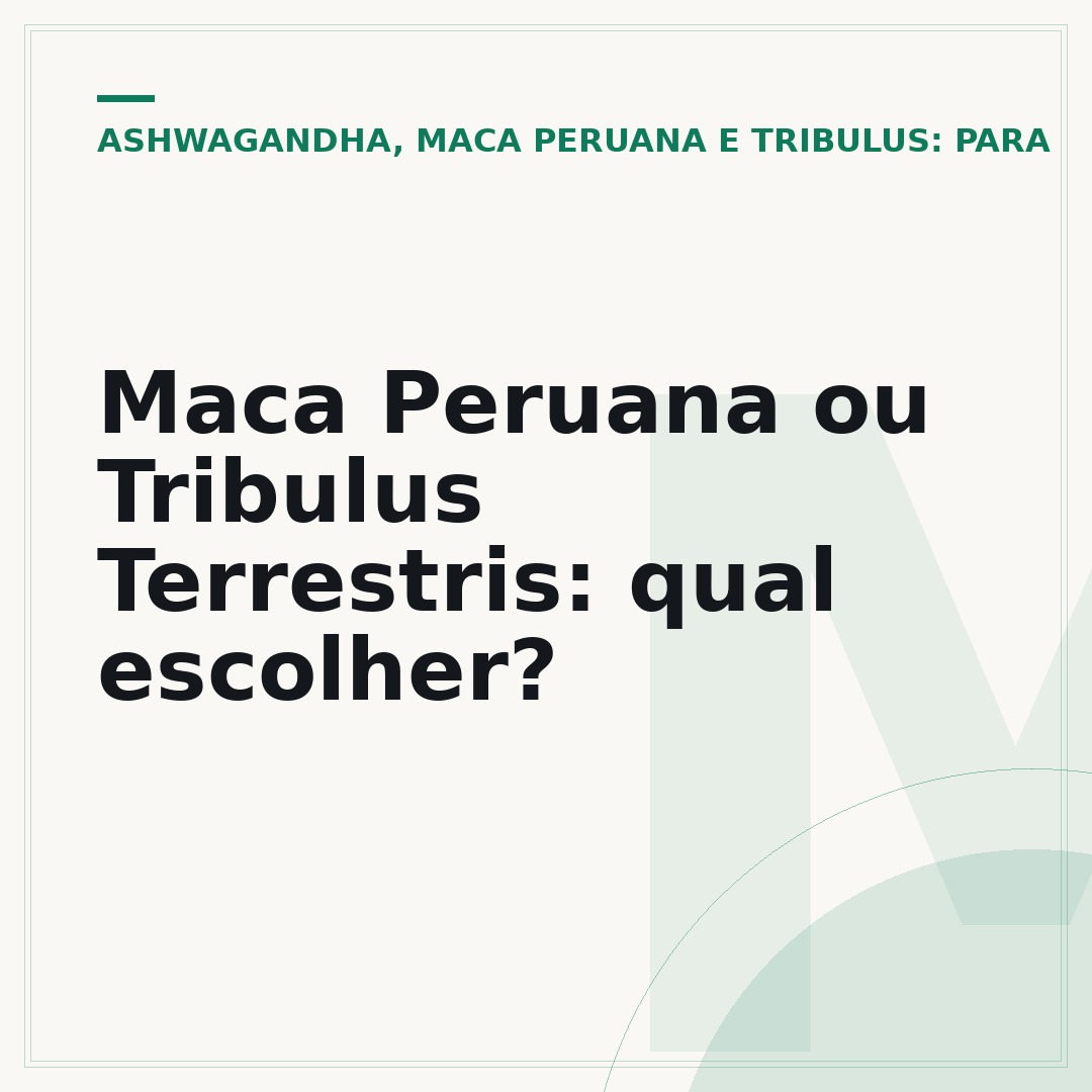 Maca Peruana ou Tribulus Terrestris: qual escolher?