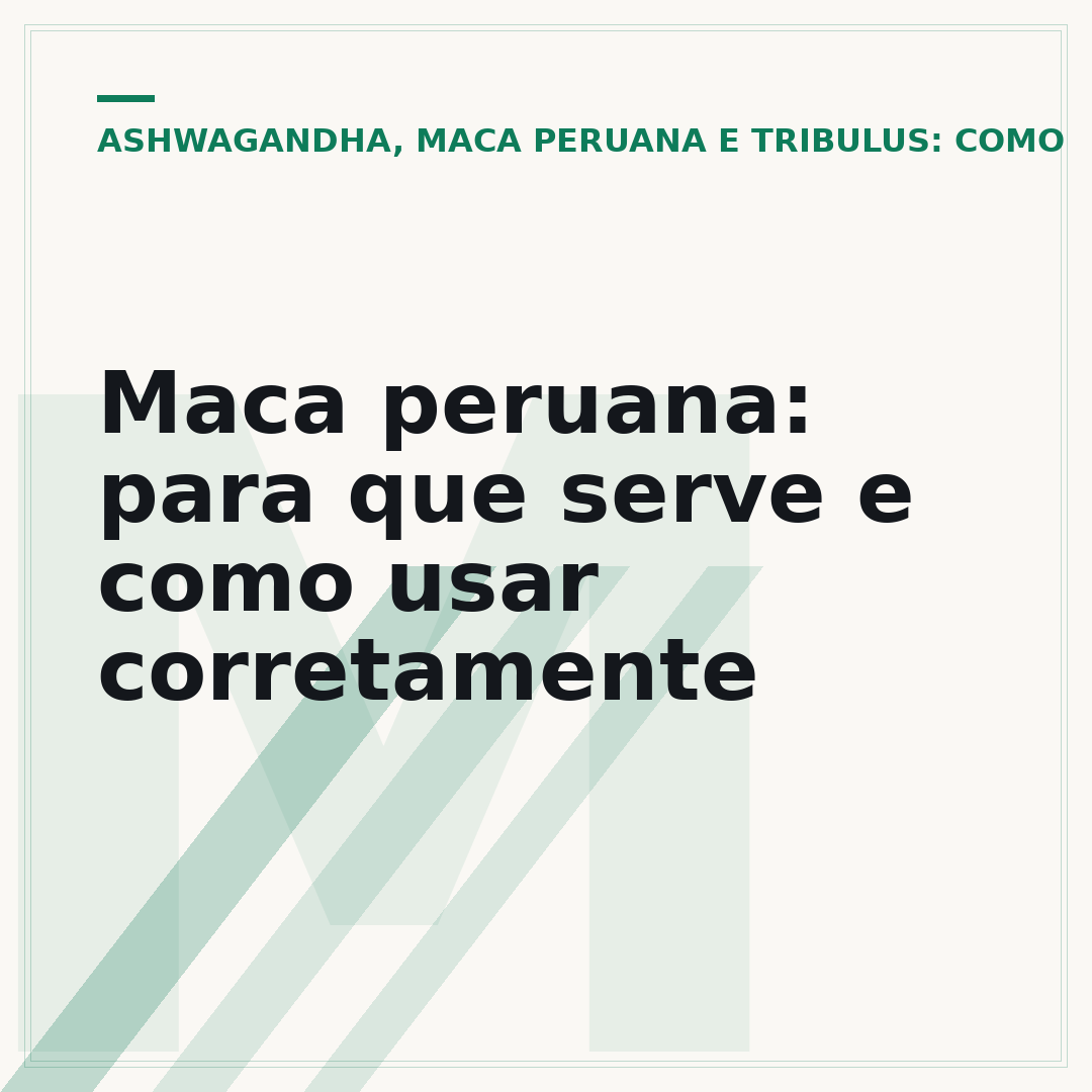 Maca peruana: para que serve e como usar corretamente
